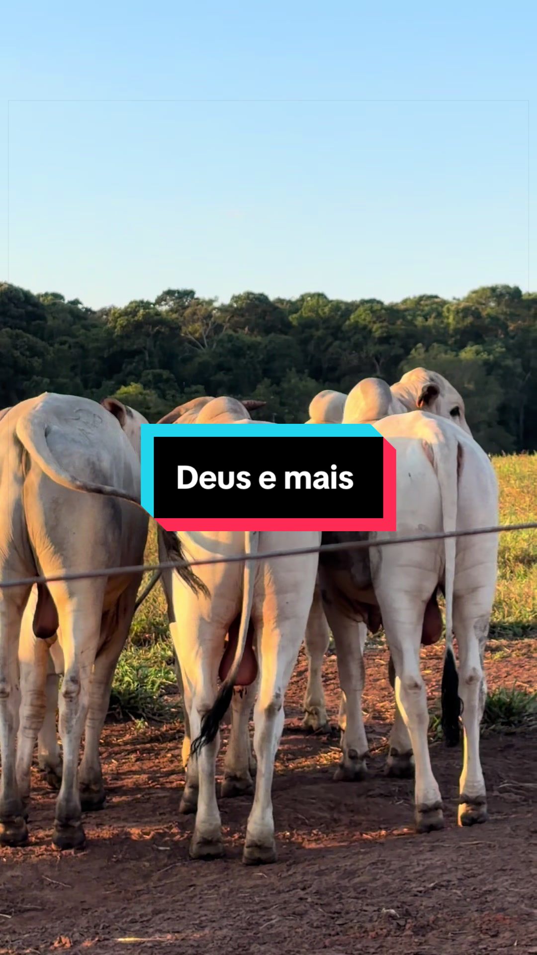 @🍀Santos🚜