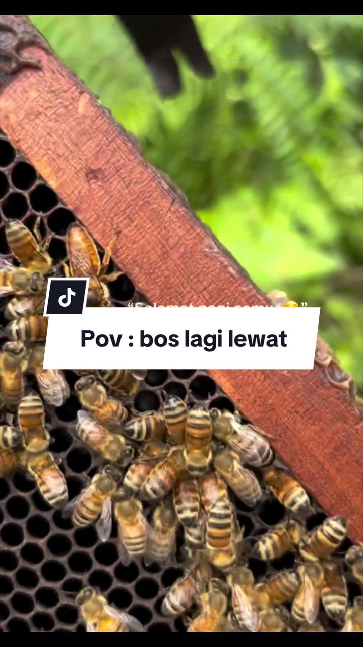 @maduclb🍯