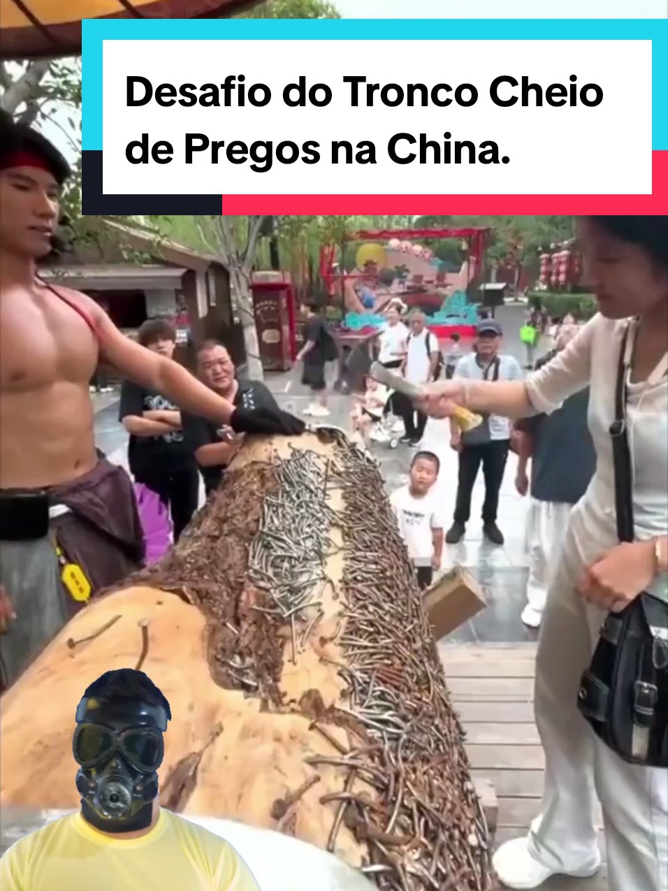 @Mundo da Curiosidades