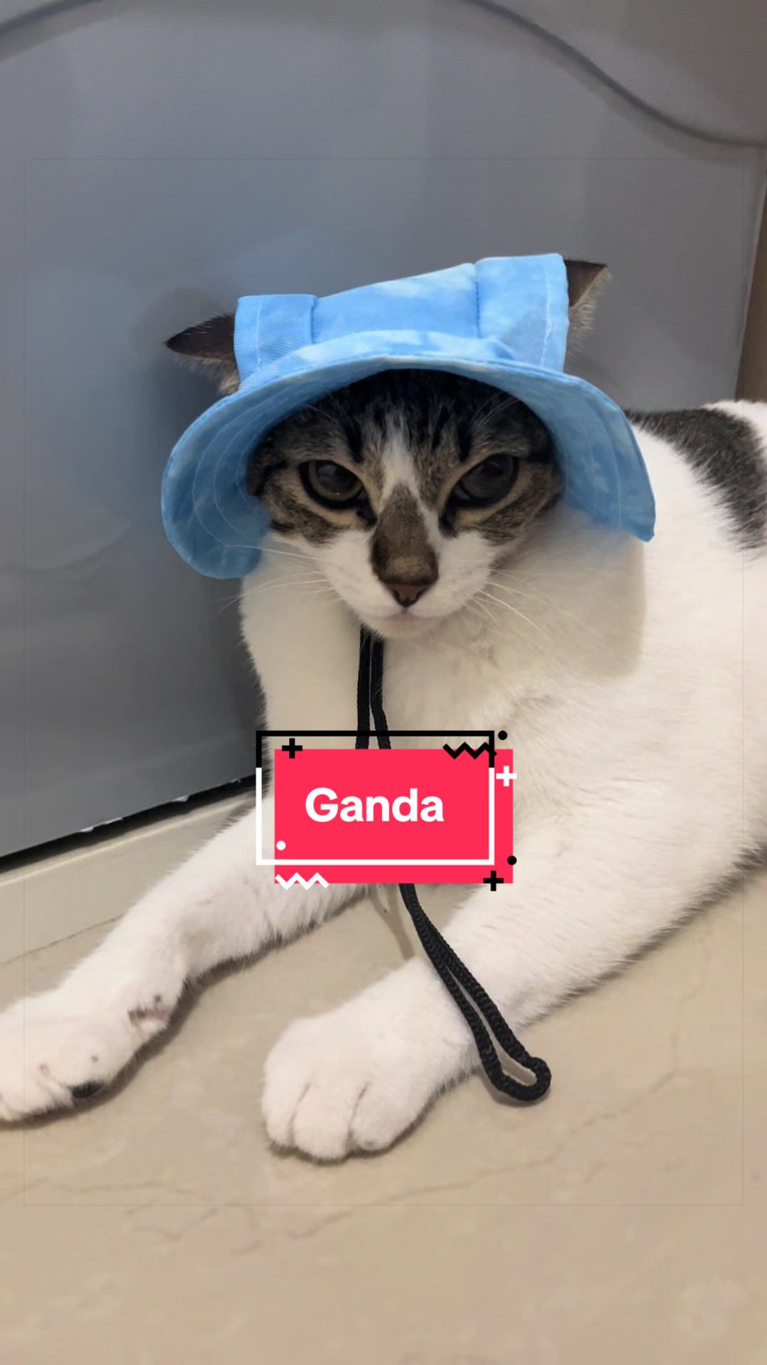 @Asta