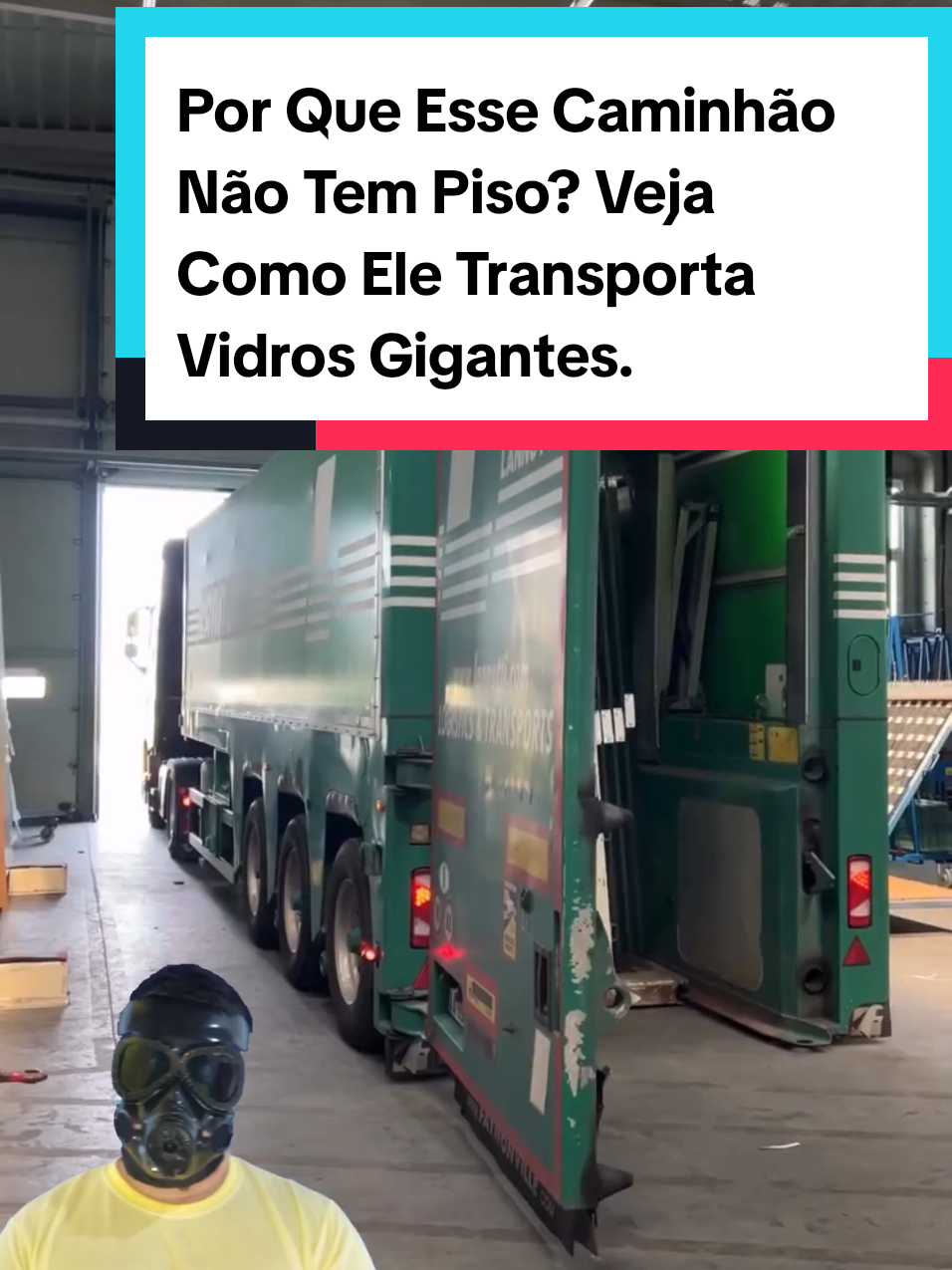 @Mundo da Curiosidades
