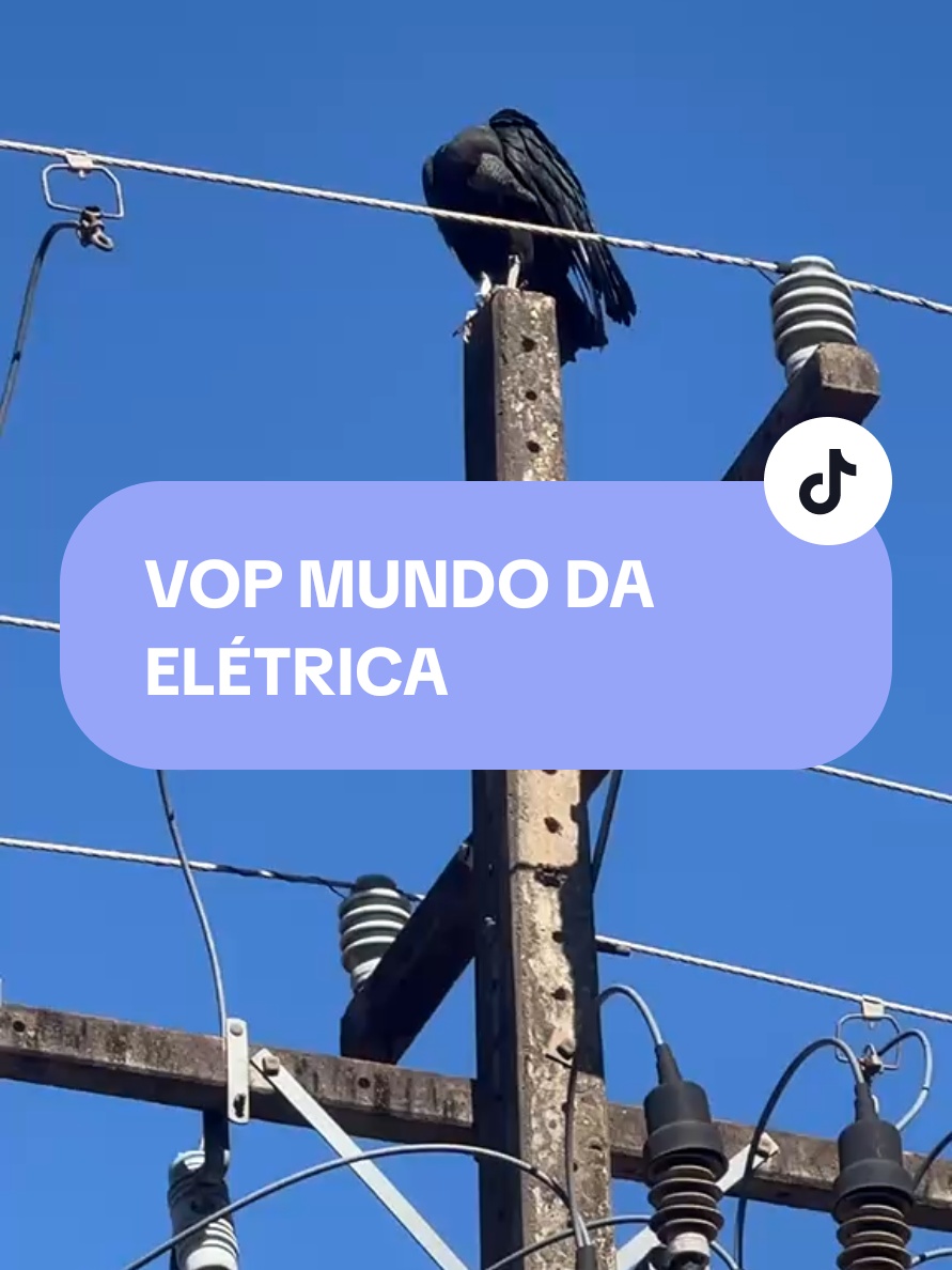 @VOP MUNDO DA ELÉTRICA Valdinei