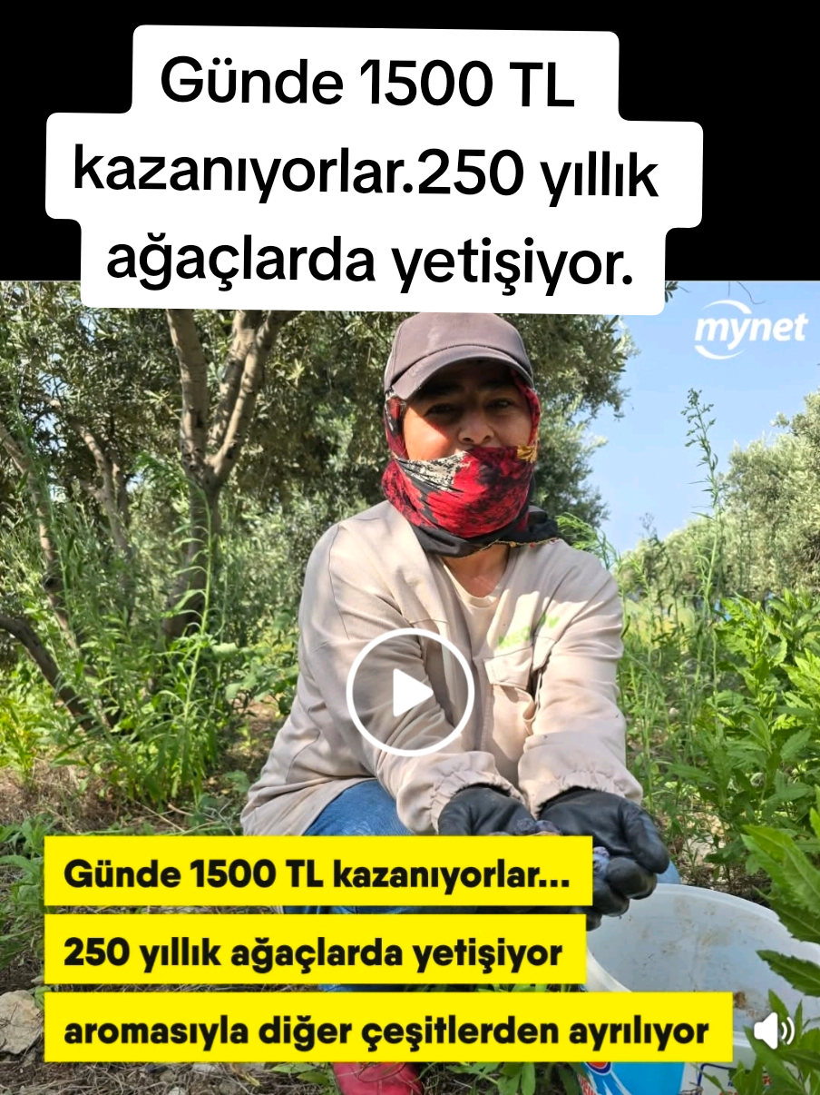 @Sorgunadair