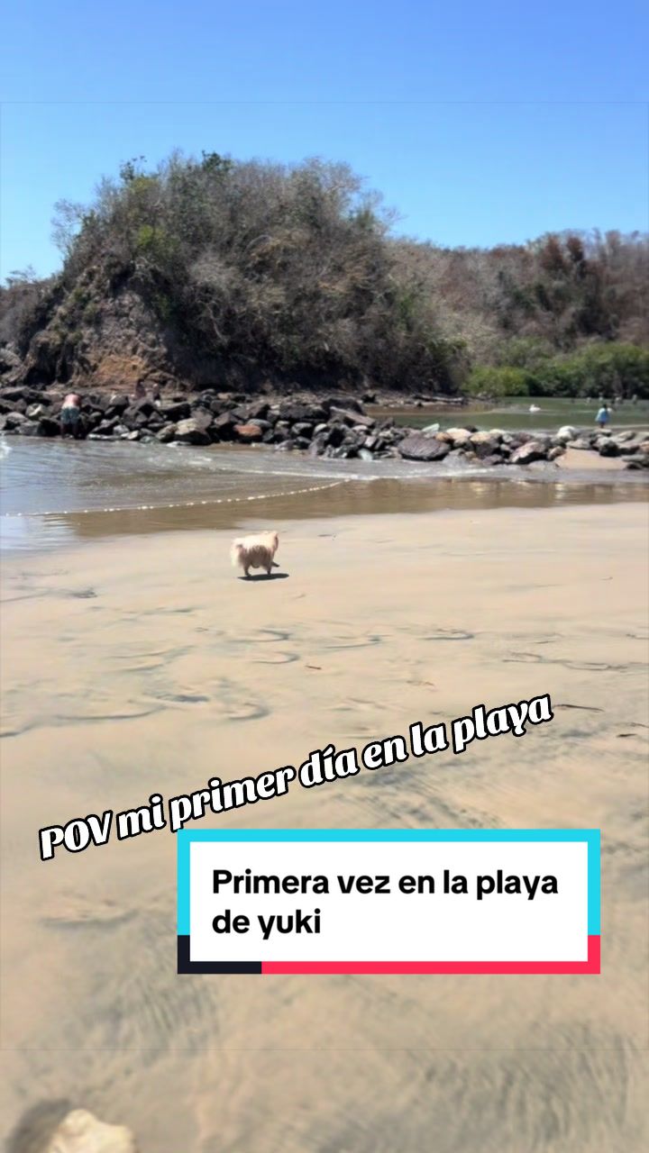 @ALE GUEDEA
