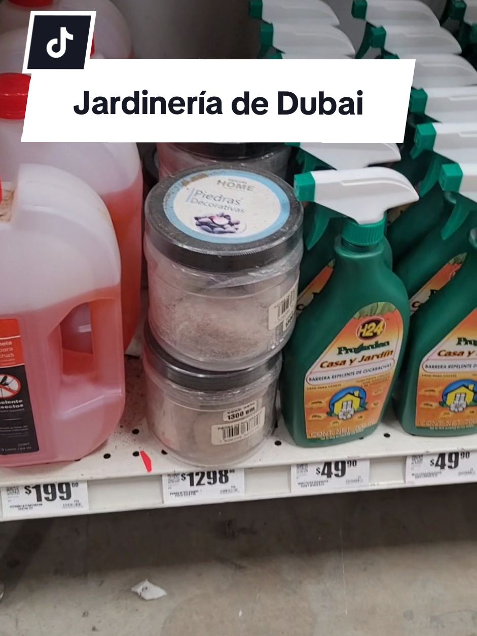 @Plantología🌿