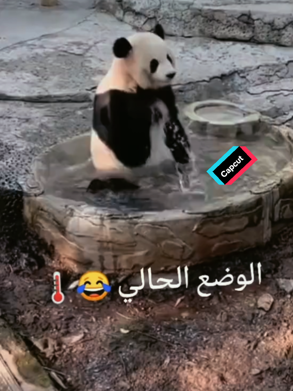 @ْ