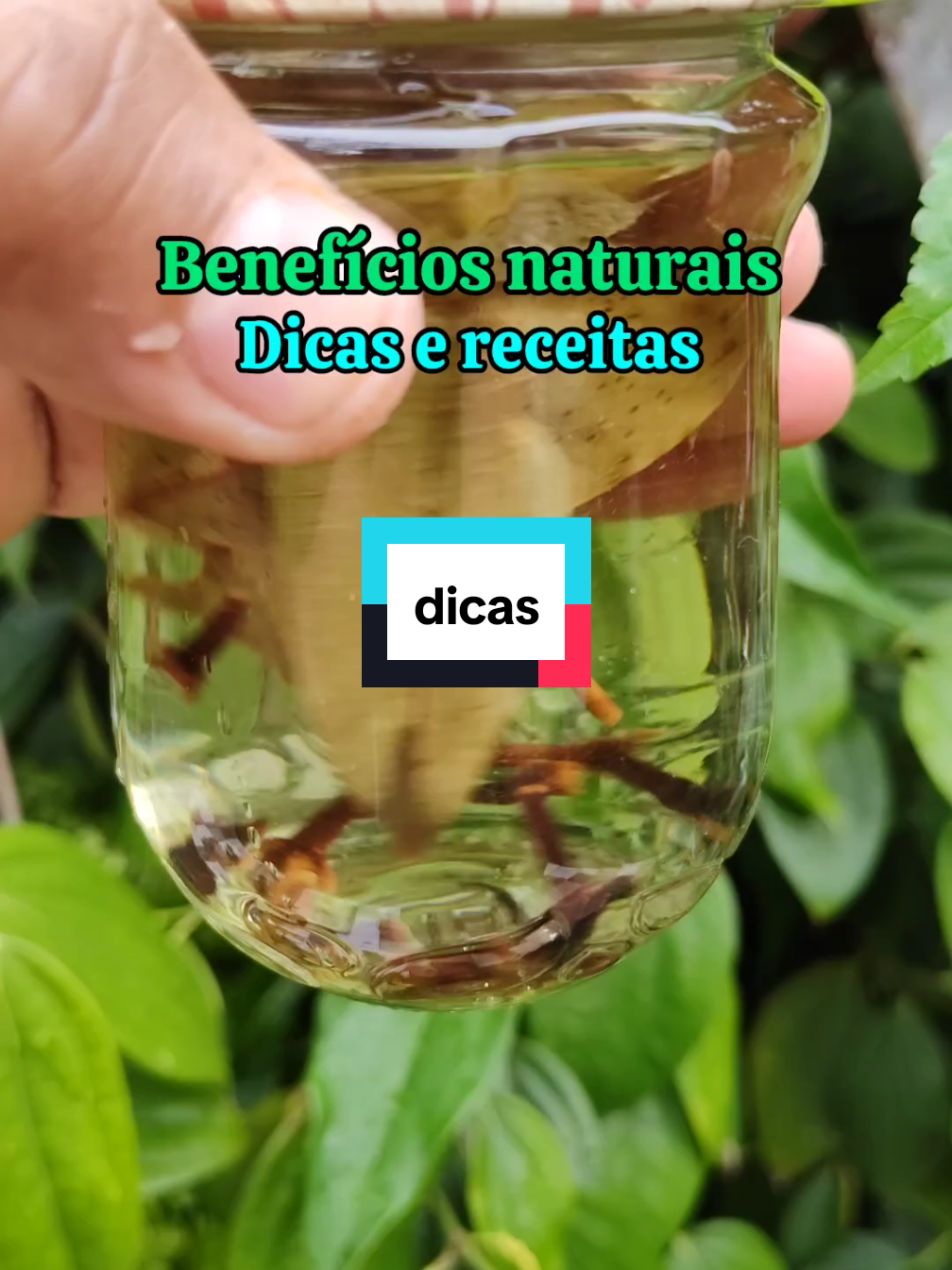 @natureza e sa&uacute;de