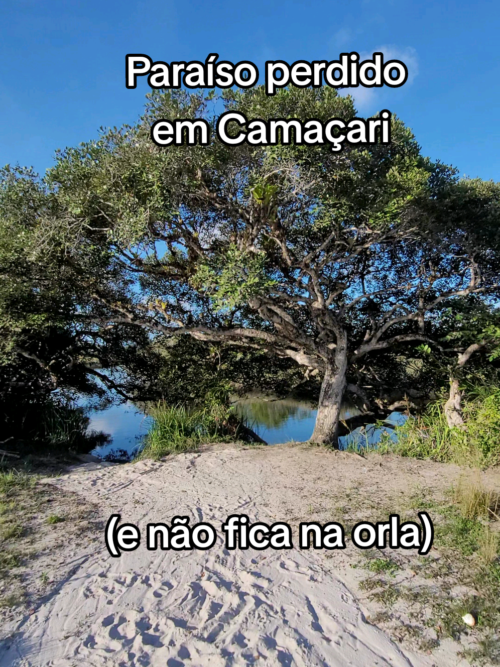 @Conheça Camaçari