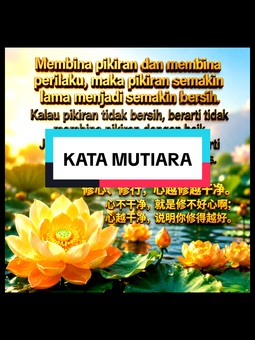 @MASTER LU
