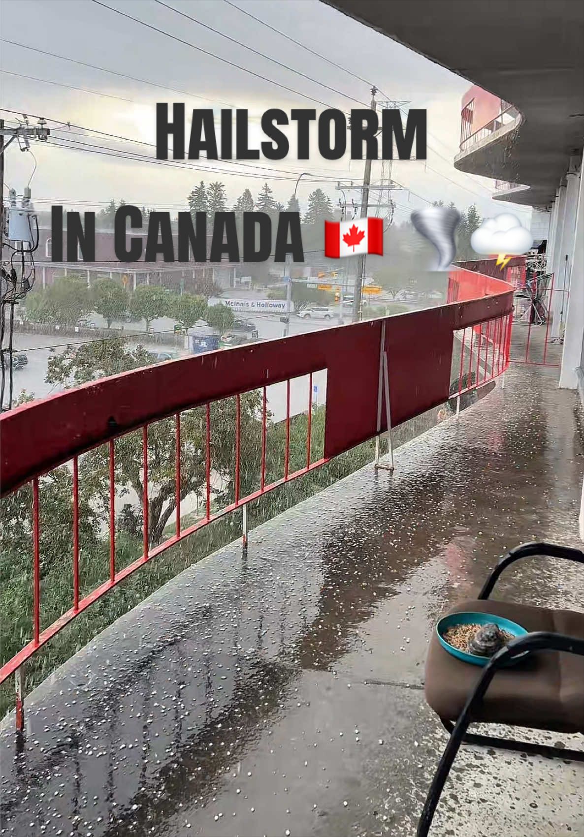 @Cobeeya🇵🇰🇨🇦
