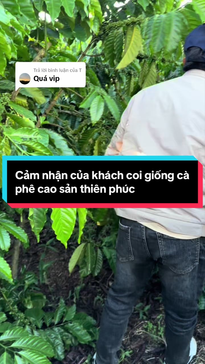 @Thành Bảo Lâm