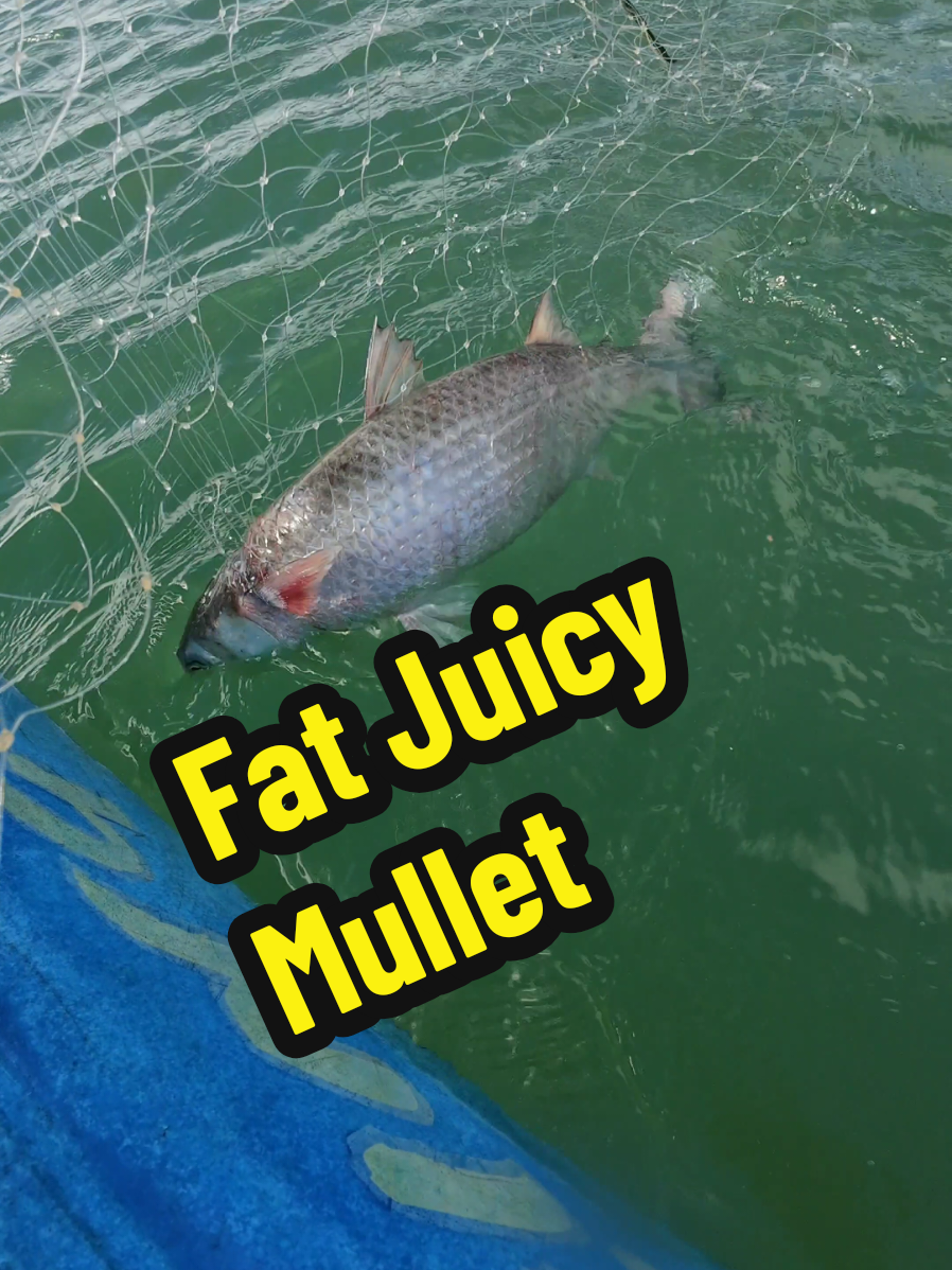 @MuddyFeet