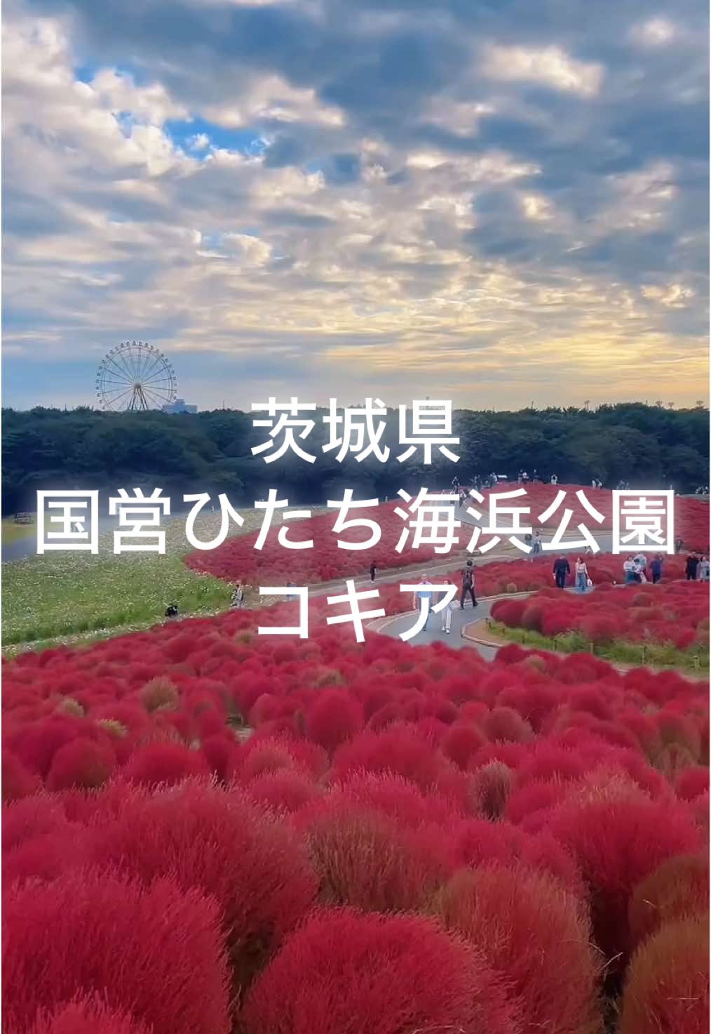 @âïžyukiâïžð°ðŸ