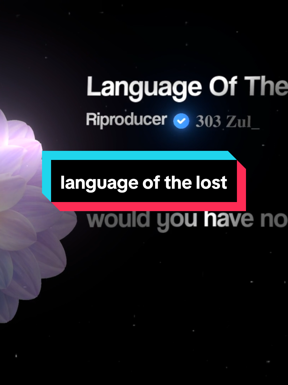 @𝟑𝟎𝟑 𝐙𝐮𝐥_