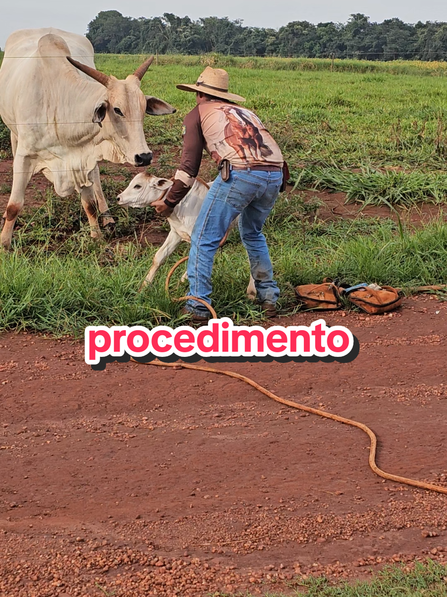 @Geovane neto