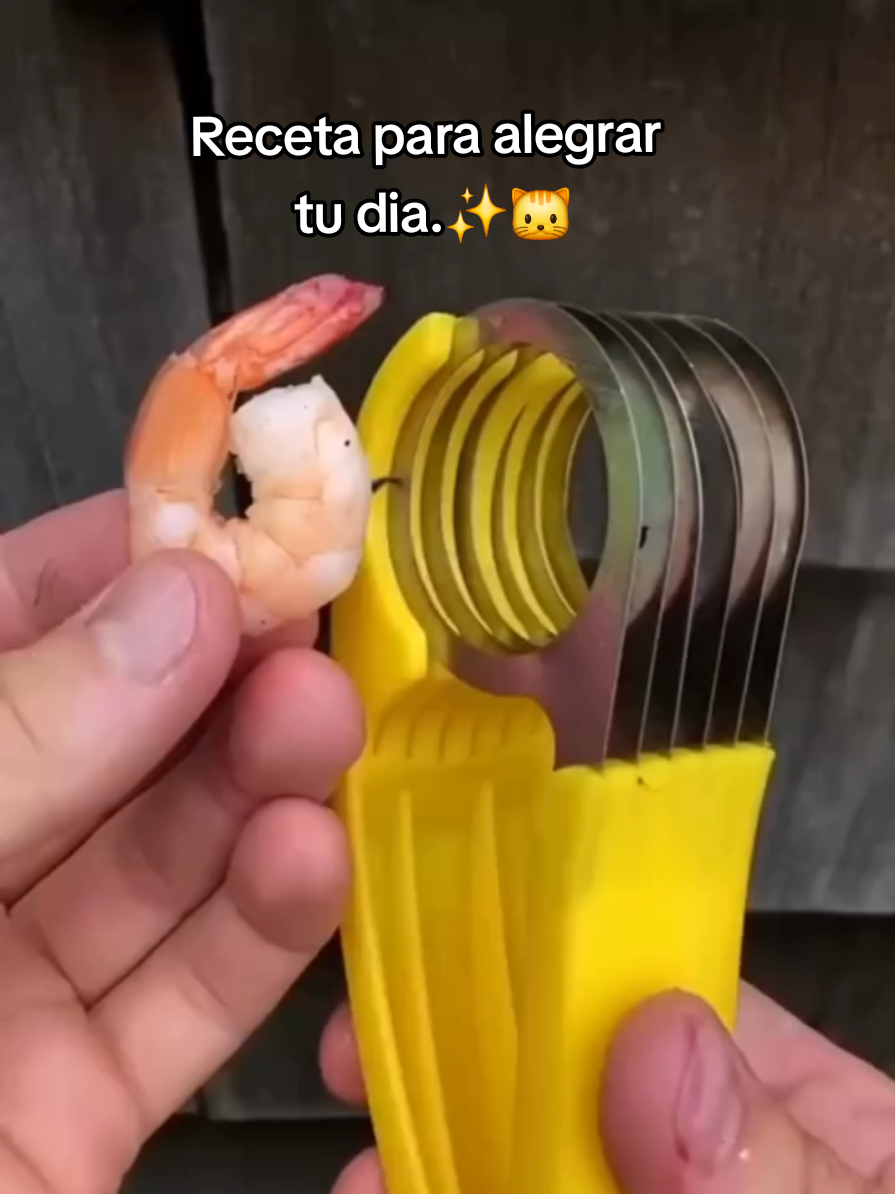 @MichiLovers&reg;