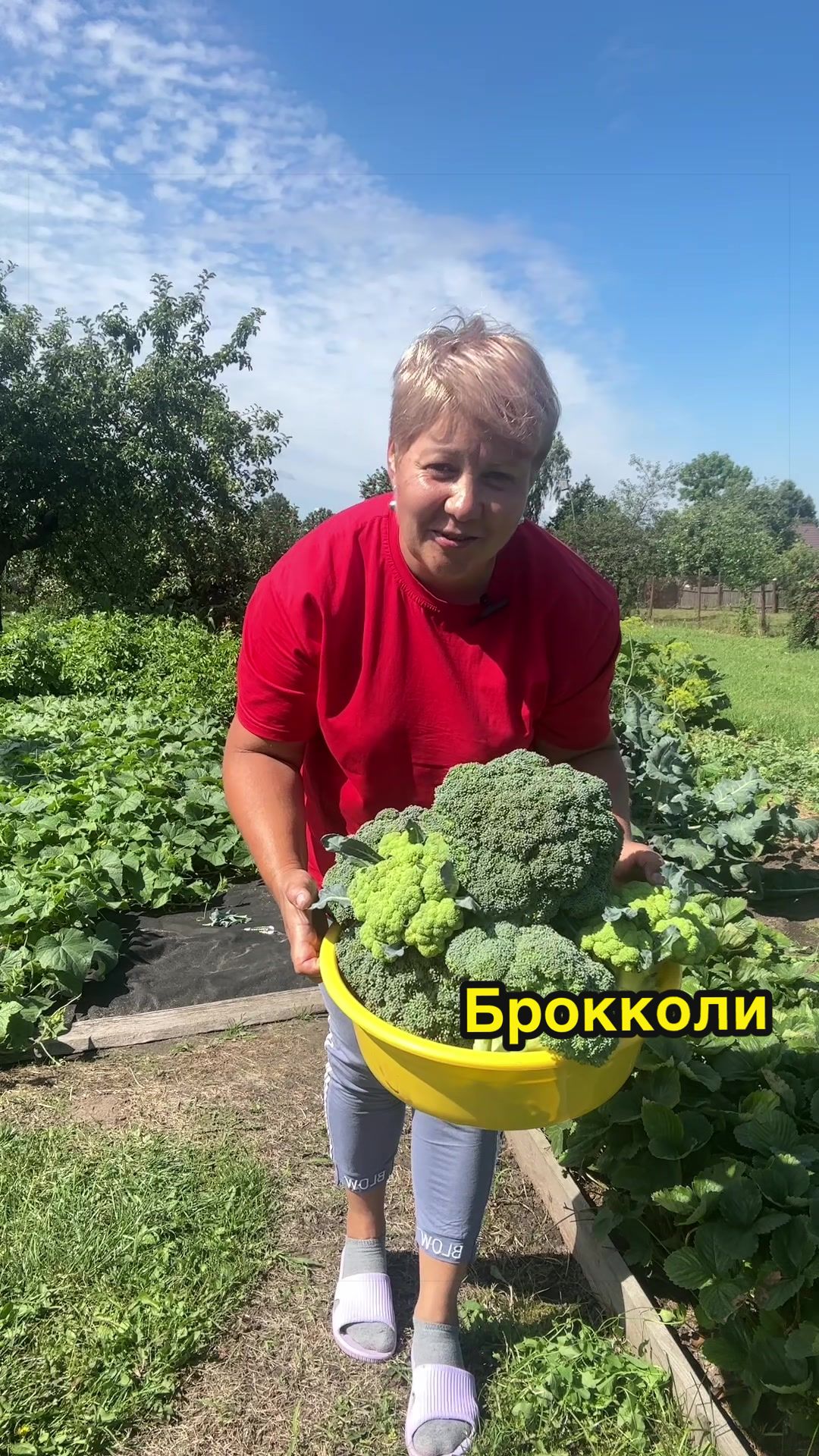 @🌿𝓐𝓷𝓲𝓷𝓪 𝓭𝓪𝓬𝓱𝓪🌿