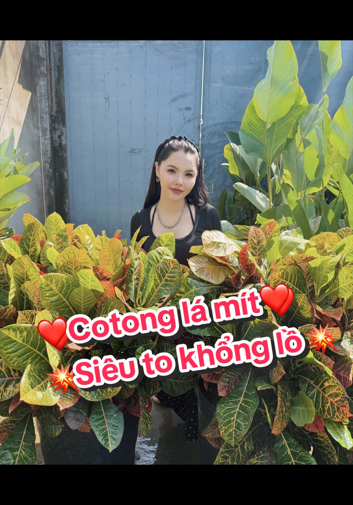 @Tiệm Lá Nhỏ