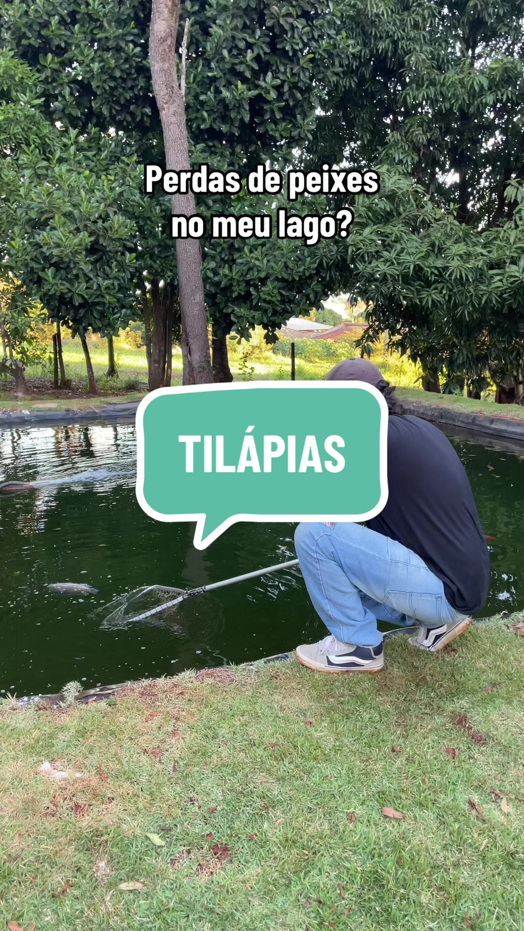 @diogopescarias