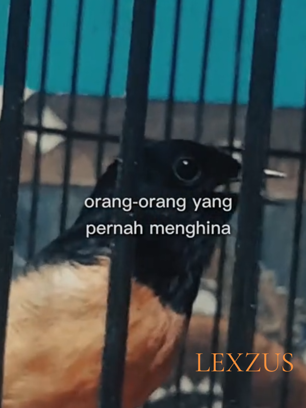 @DEN BAGUS
