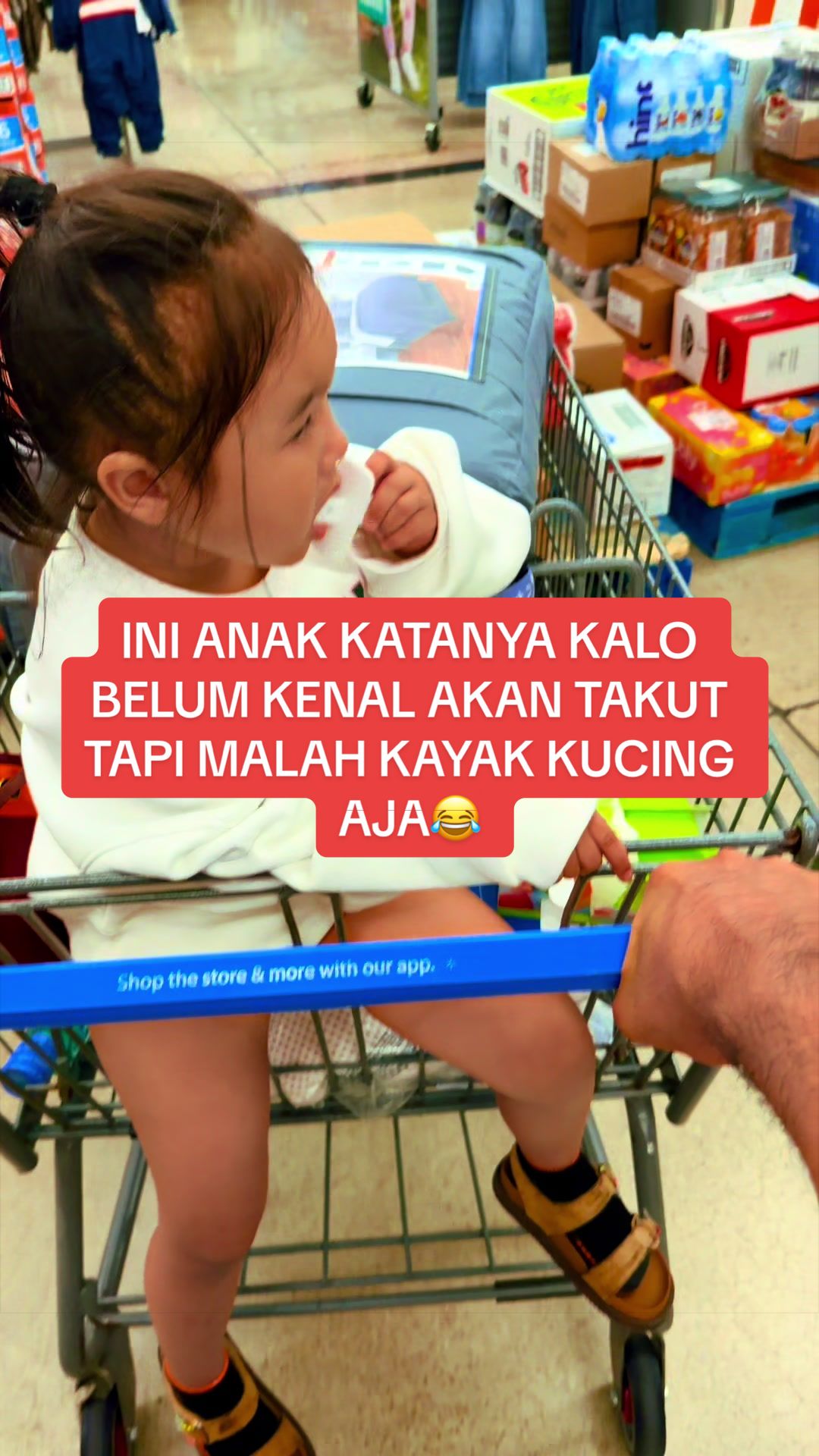 @RADEN LOMBOK - NTB