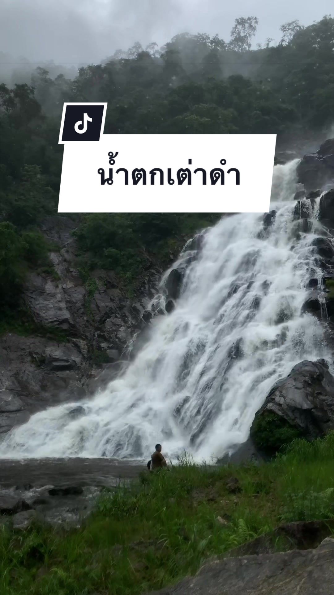 @🏕️แมดอายย📽️