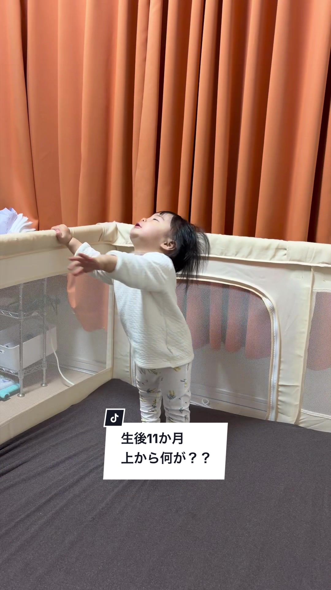 @TAO’s Slow Life