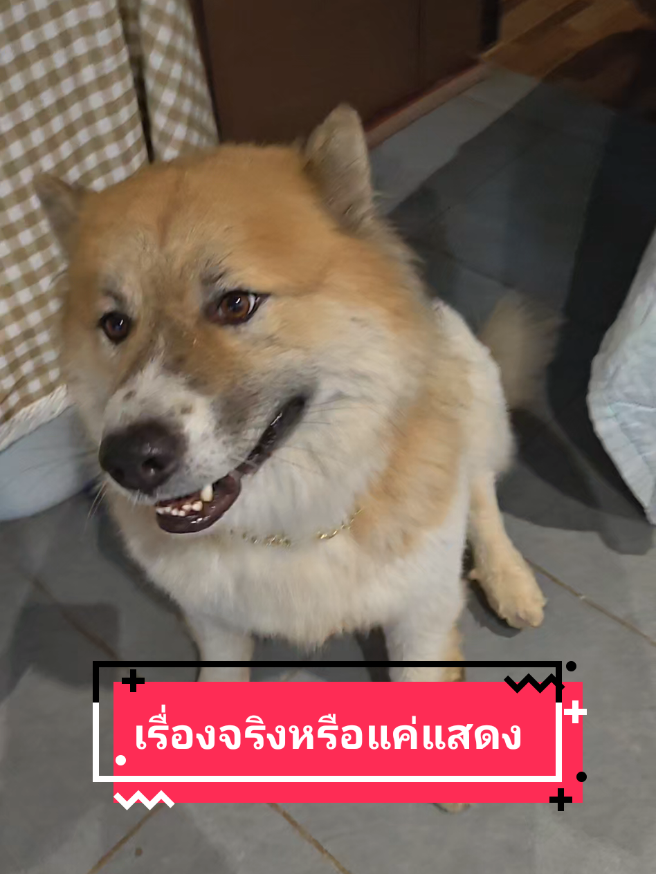 @หลิวหลิว แม่พี่ธอร์