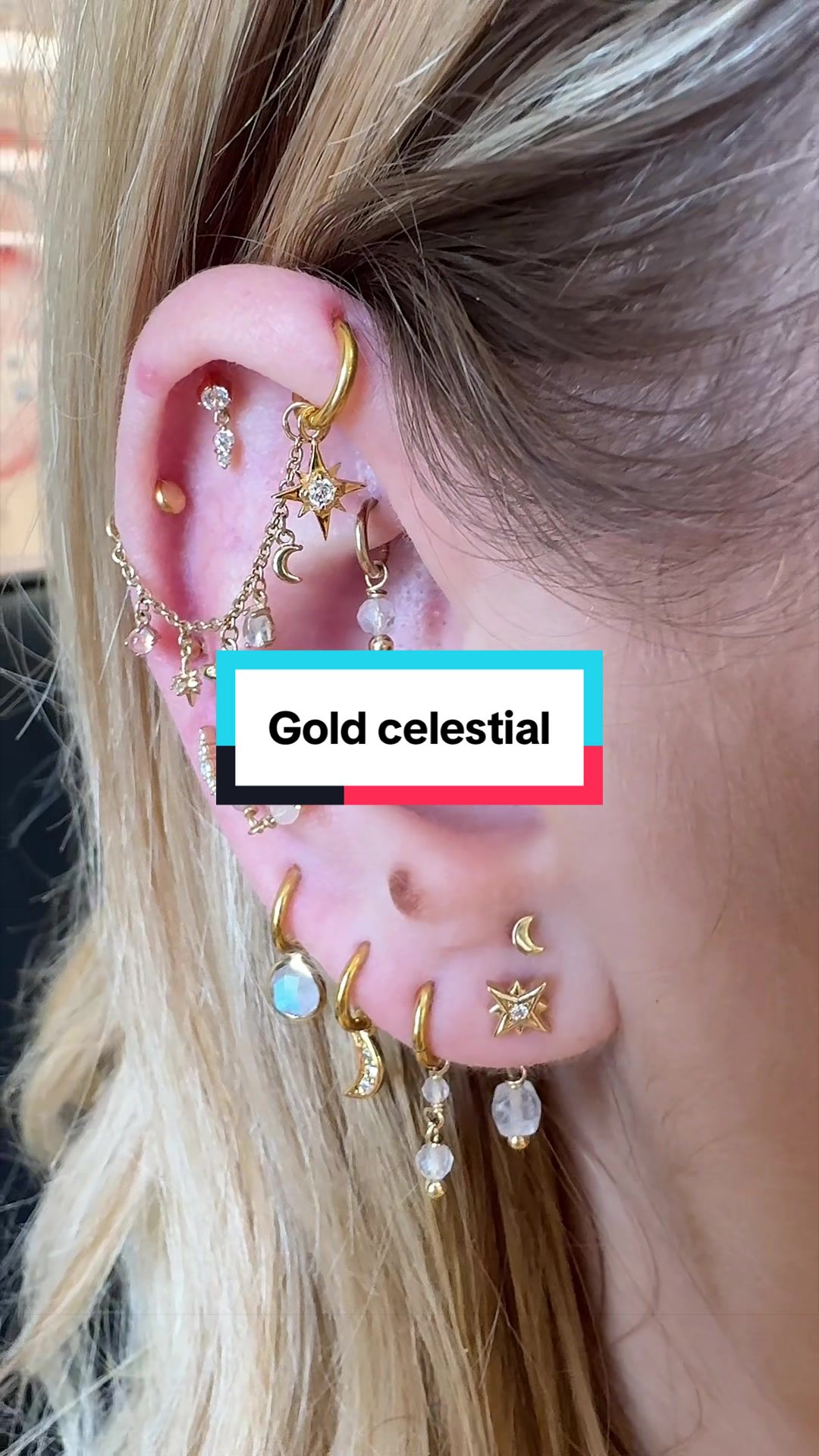 @The Curated Lobe