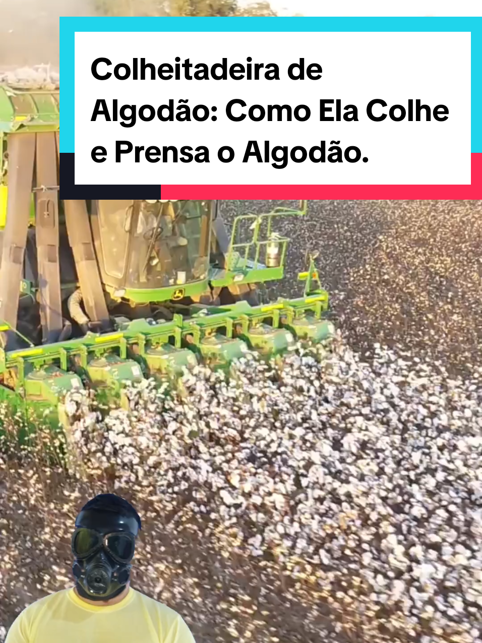 @Mundo da Curiosidades