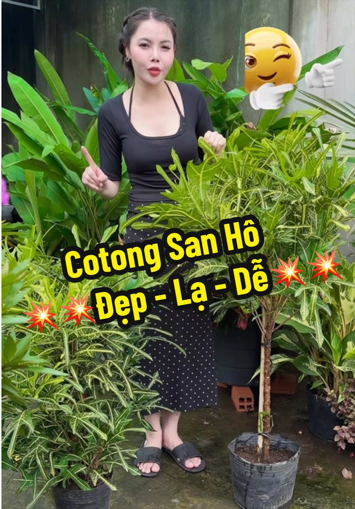 @Tiệm Lá Nhỏ