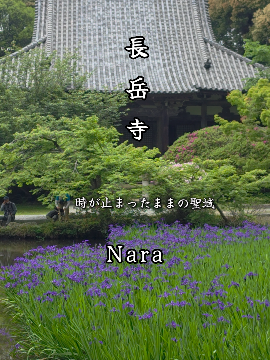 @星来⭐️セイ