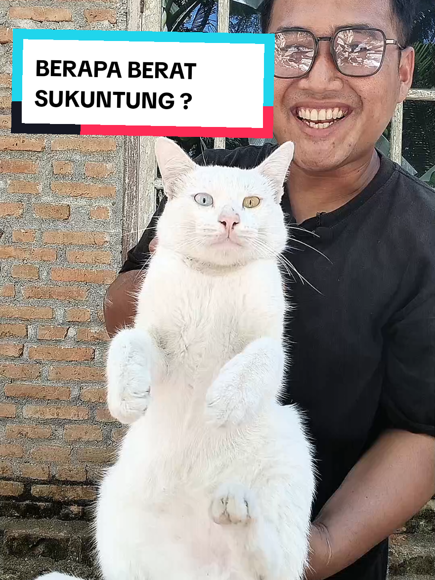 @Review Murah