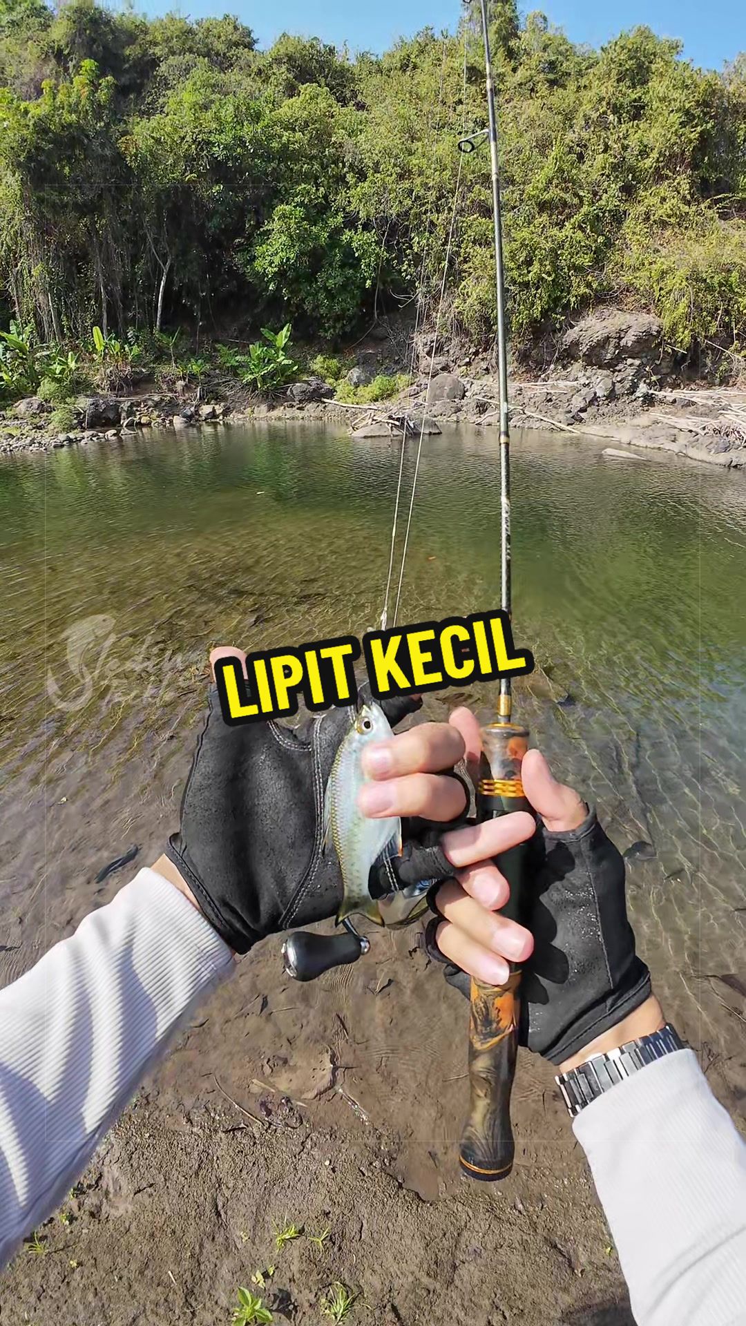 @Sleding Tackle