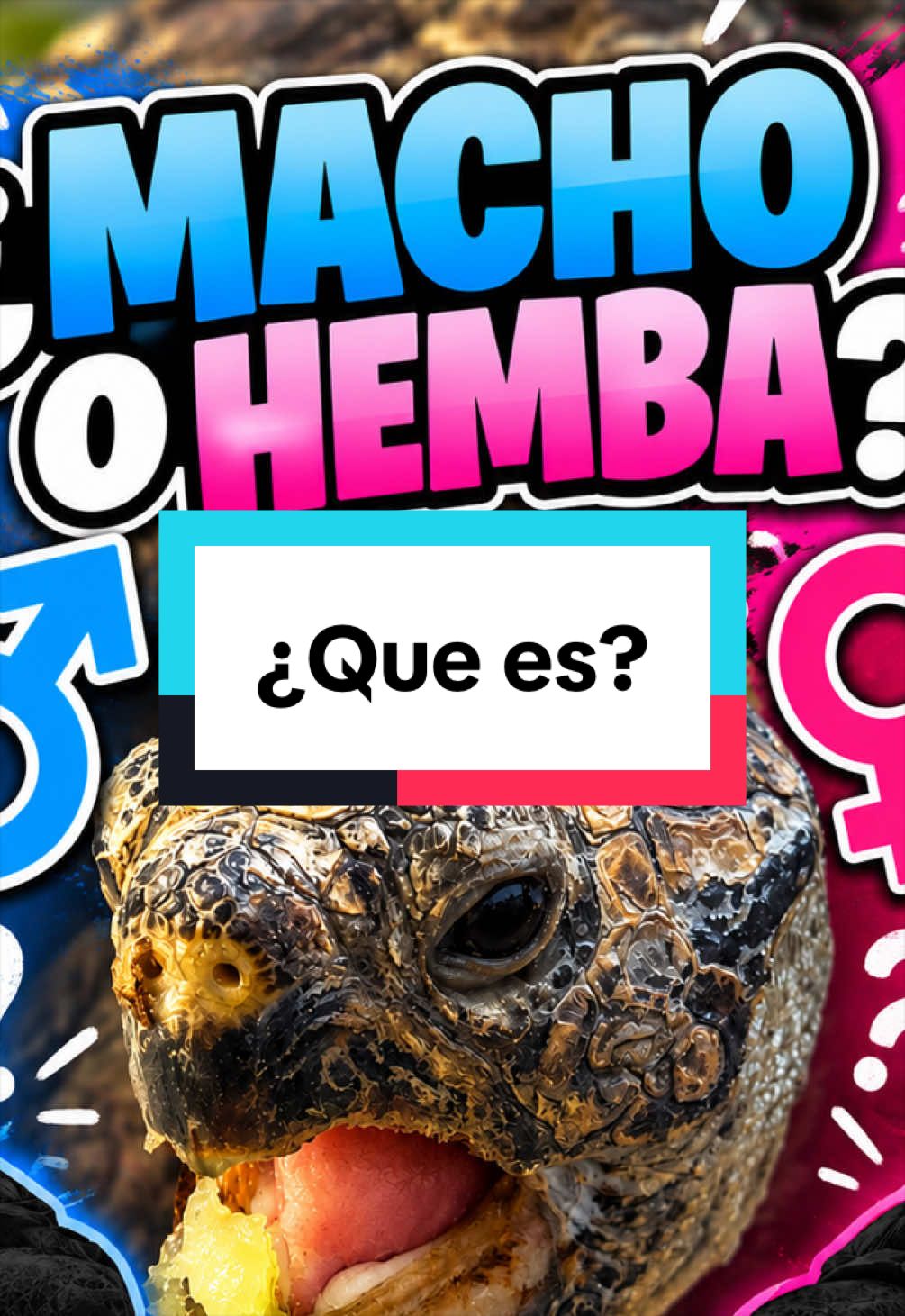 @ReptilMania