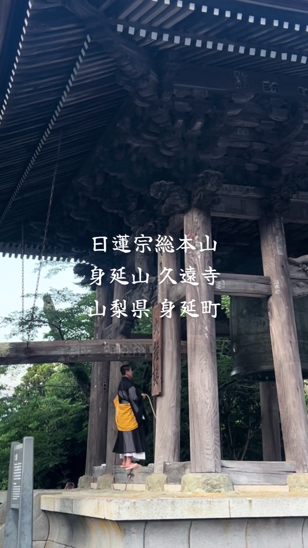 @まもまるも