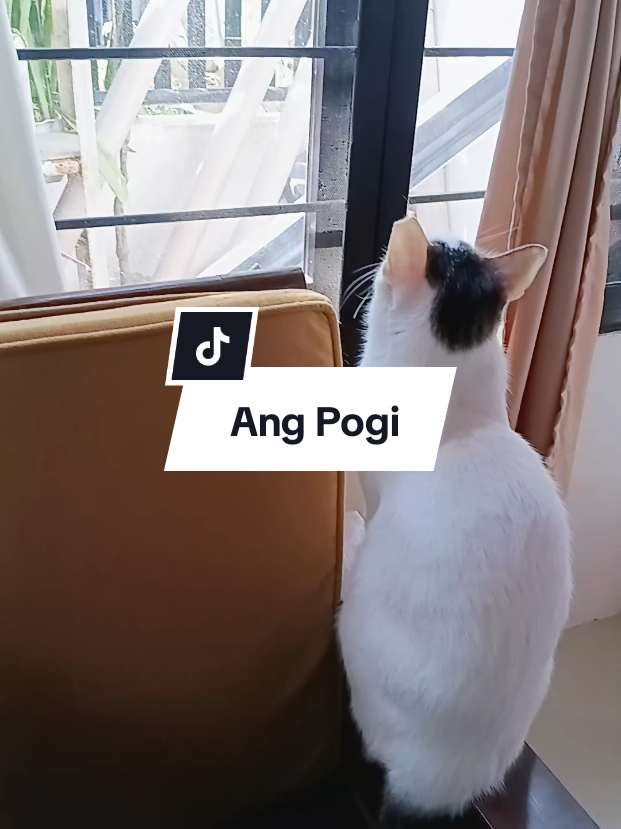 @inday alicia