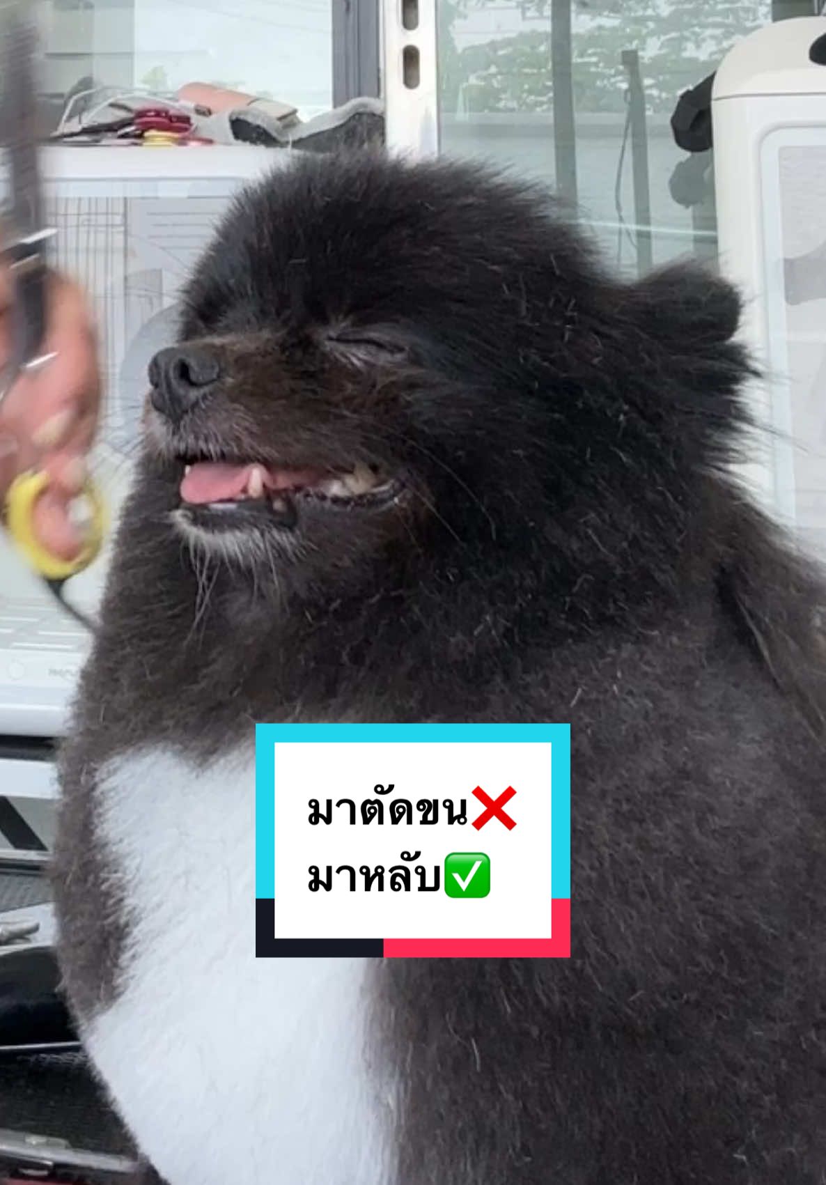 @mybossgrooming