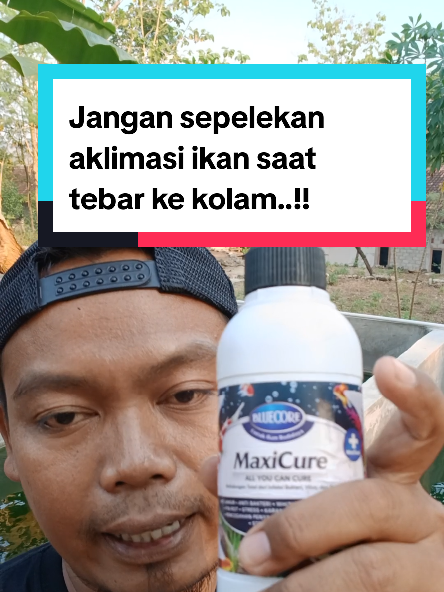 @Kang_Ewi