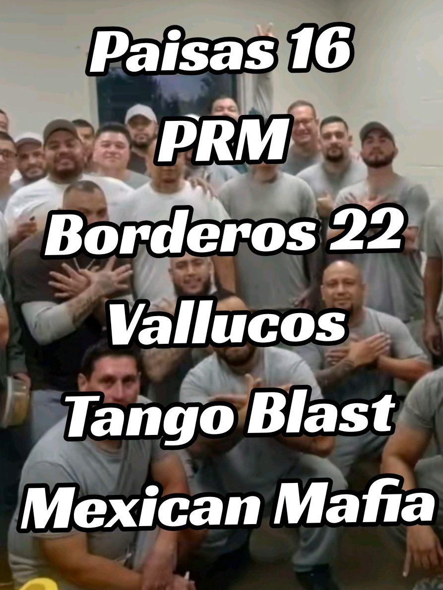 @PAISA KDT 16