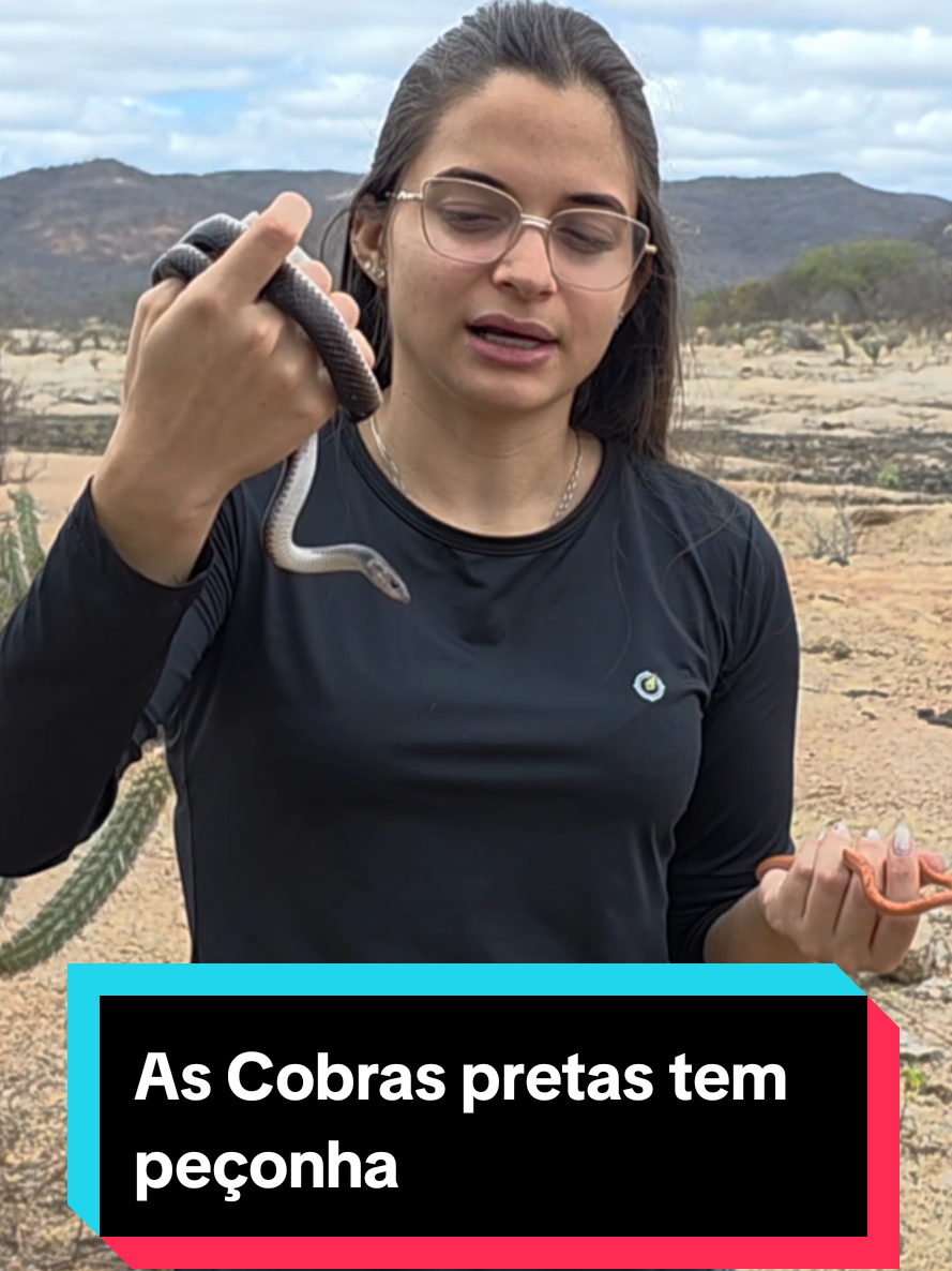 @Princesa das Serpentes