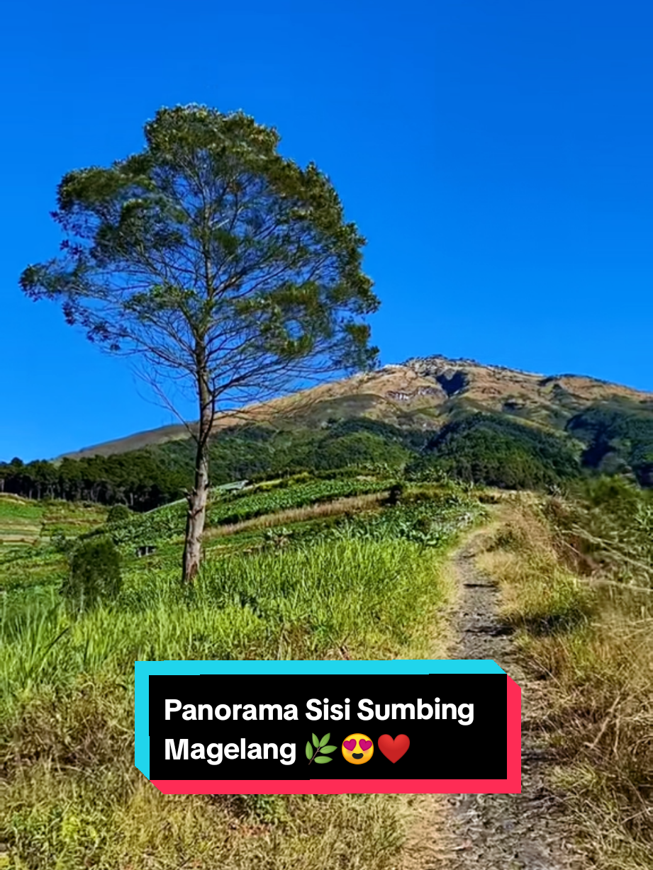 @SISI_SUMBING