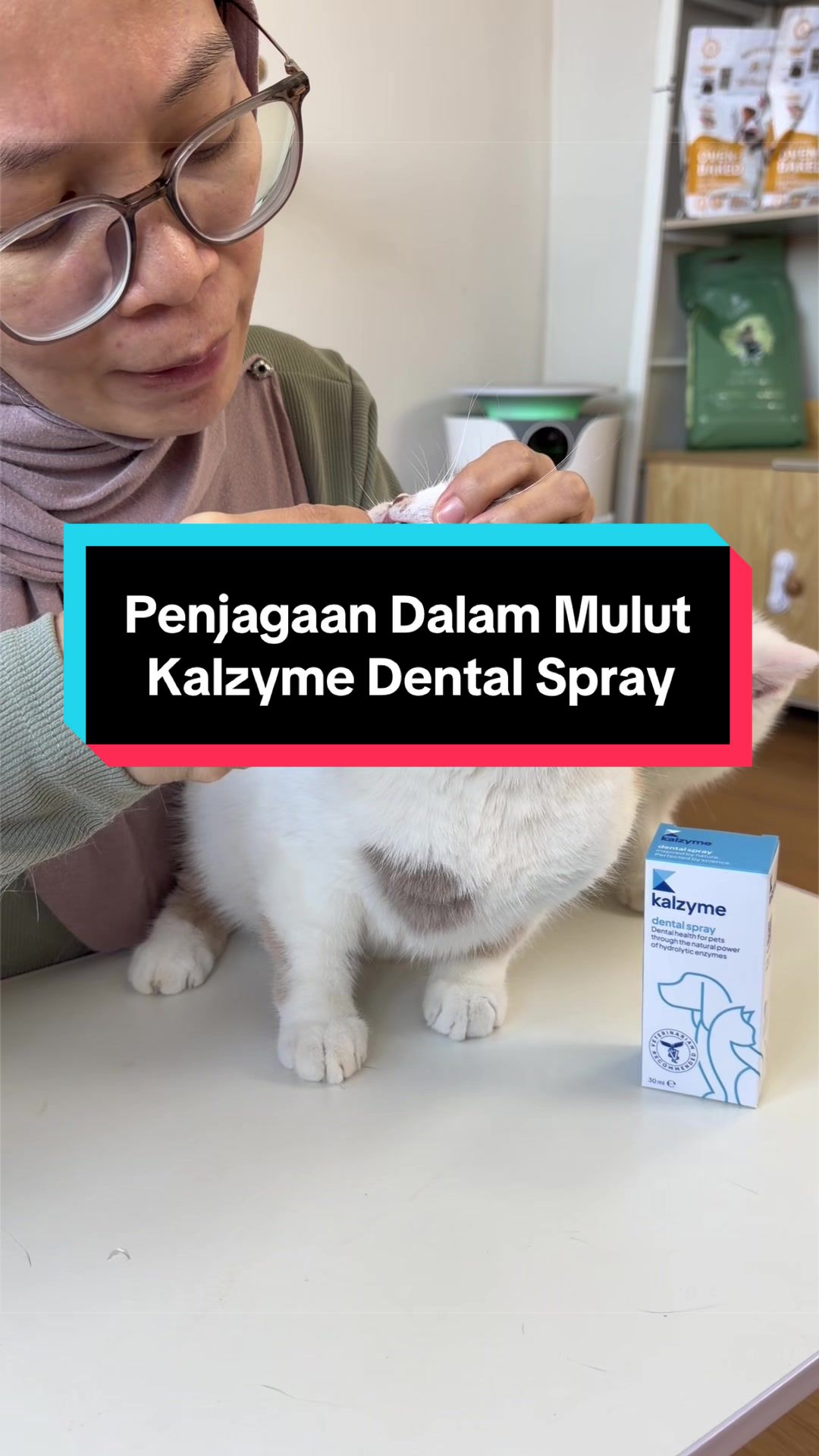 @kucingliar kl