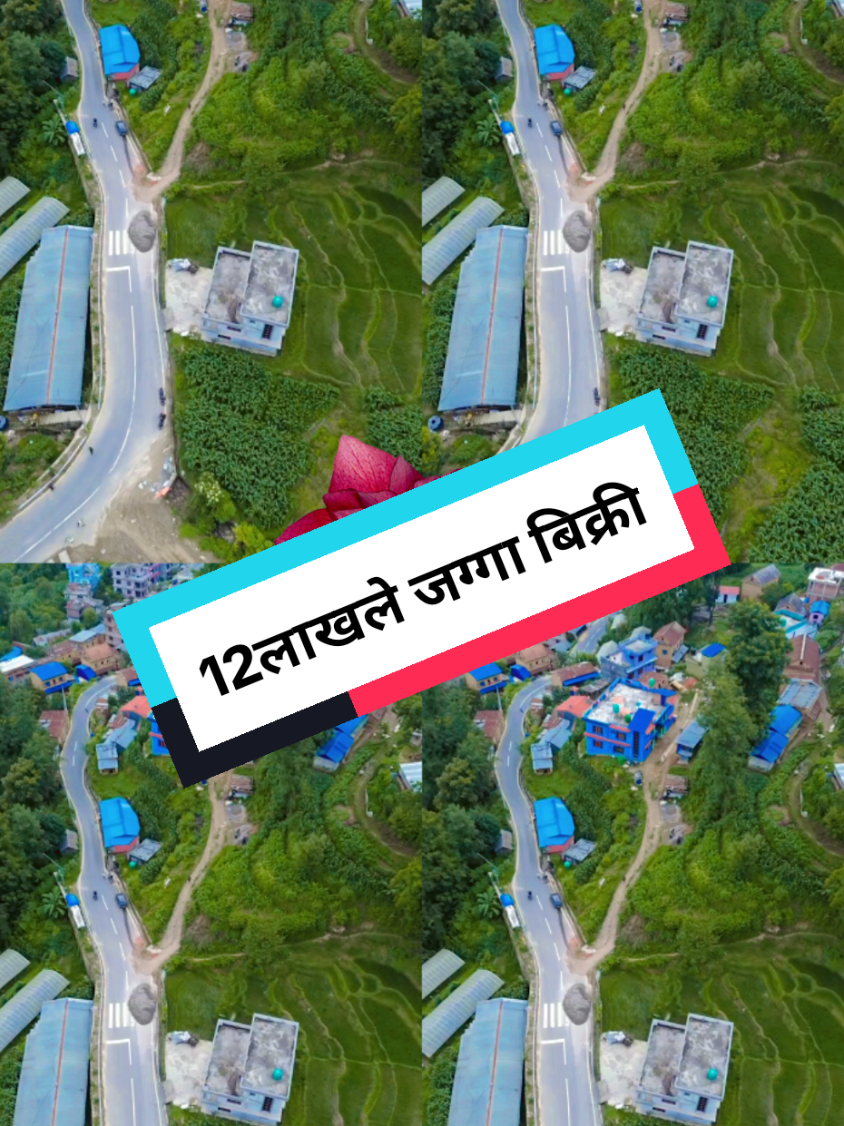@Bikri Sewa