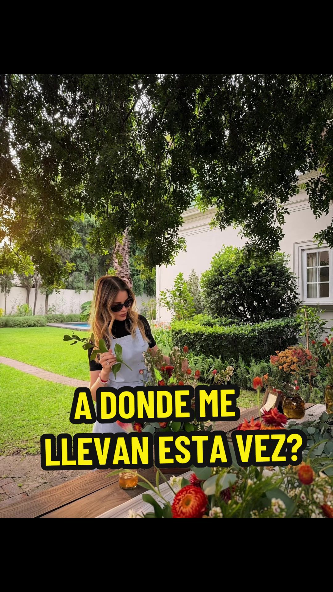 @Lylo Fa