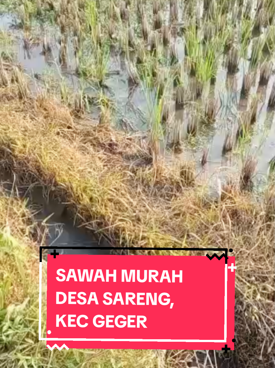 @MARKAS PROPERTY MADIUN