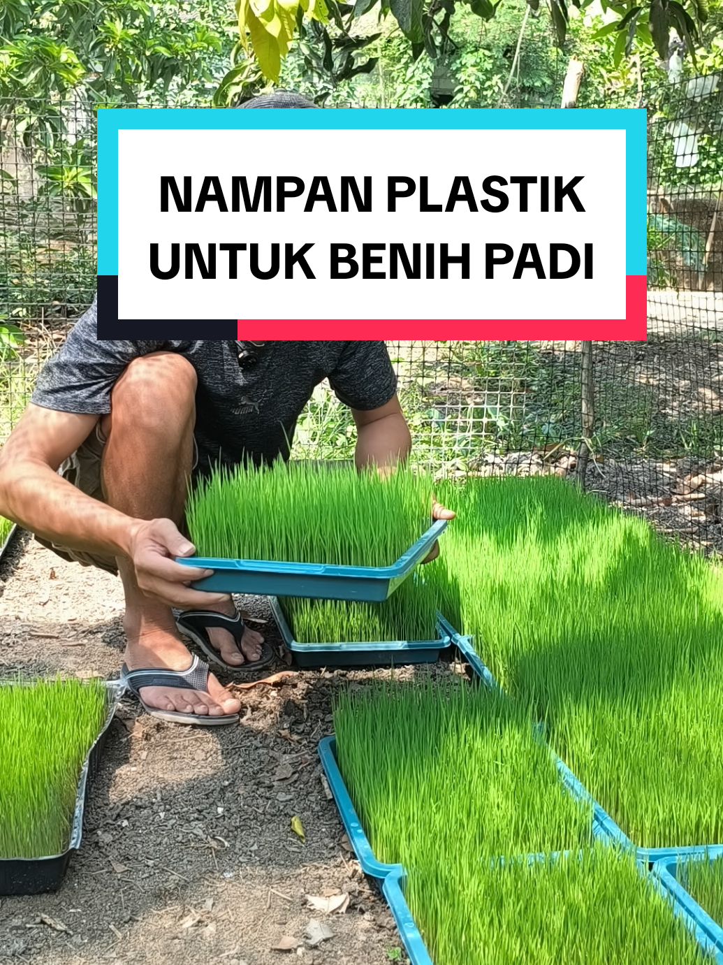 @NAUFAL8