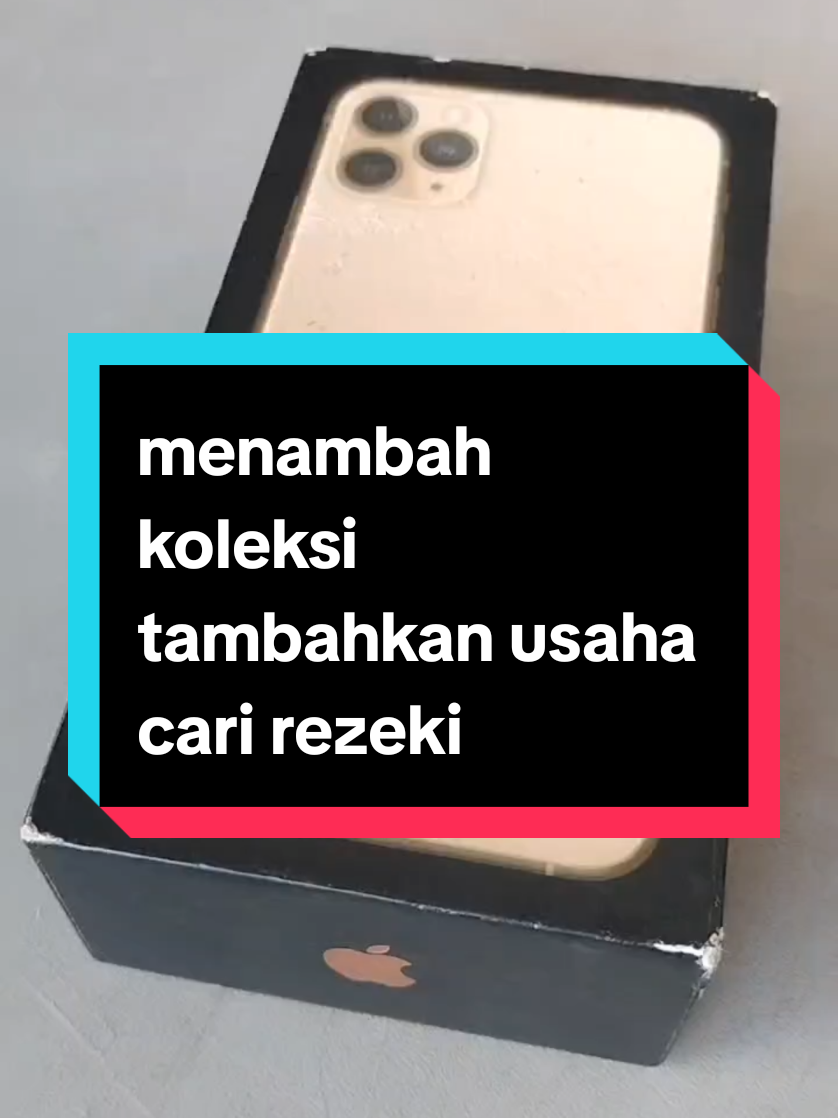 @putera vs puteri PSA