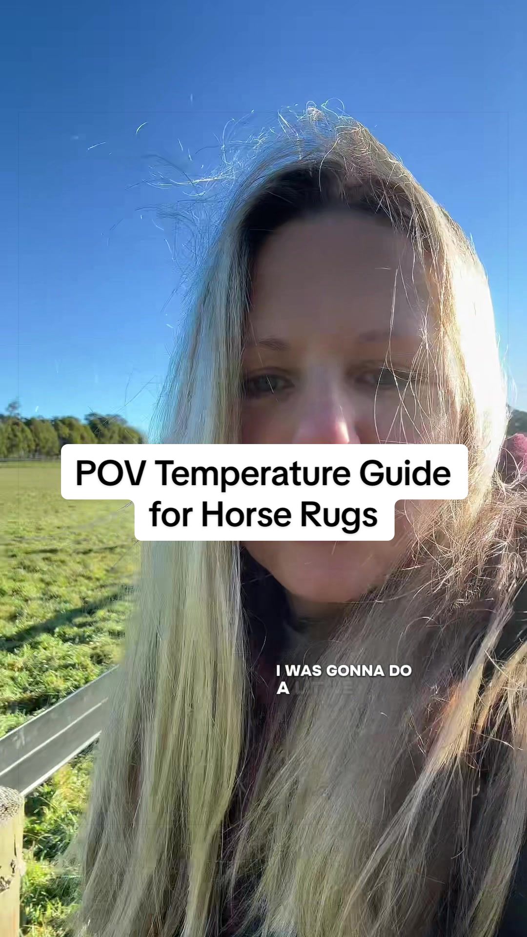 @Leader Equine