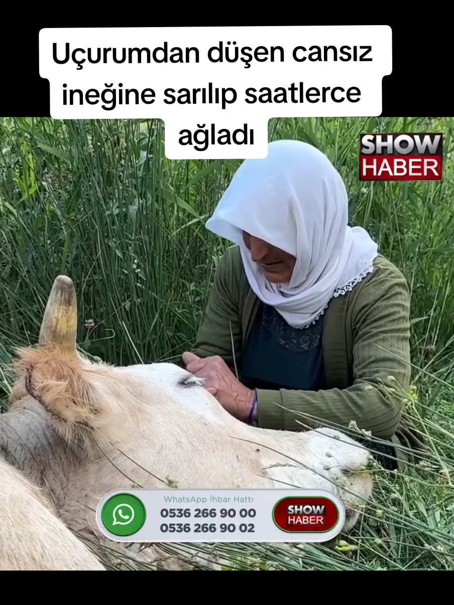 @Sorgunadair